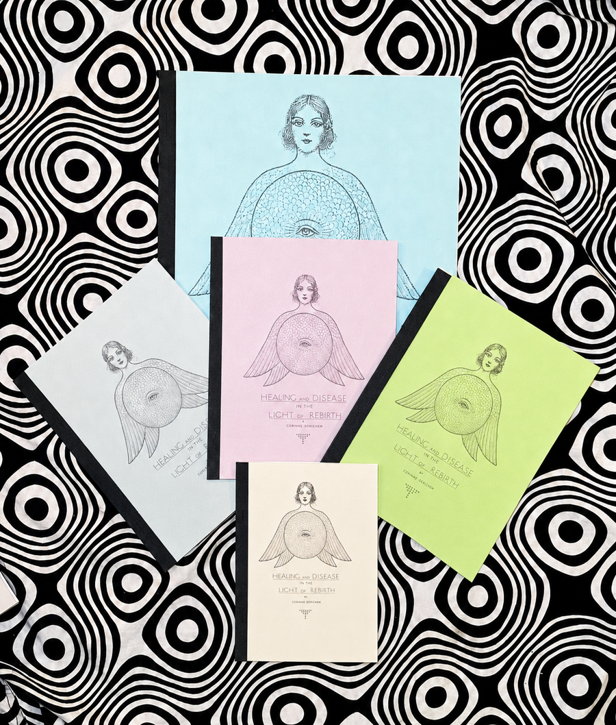 Cover of Healing and Disease in the Light of Rebirth by Corinne Dunklee