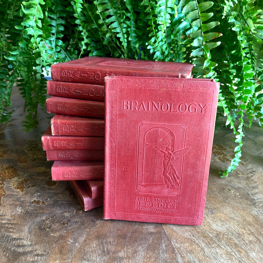 Brainology: Understanding, Developing and Training Your Brain - Elsie Lincoln Benedict - 1928