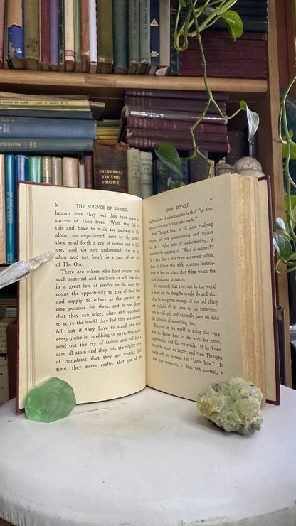 Interior and condition view of The Science of Success by Julia Seton, 1914